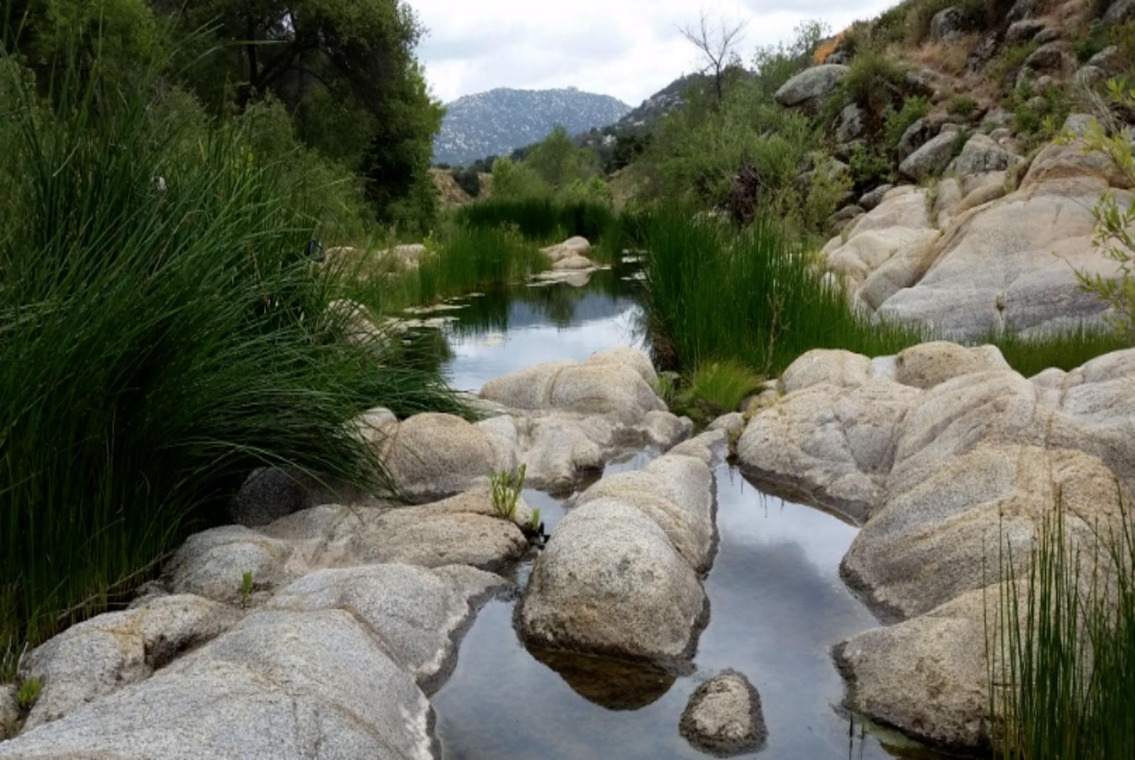 /Files/PROJECT_FILE/ea845d7a-7cc2-4770-aab9-3c3eab594fad/Murrieta Creek.jpg